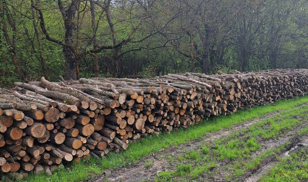 Lemn de foc diverse tari