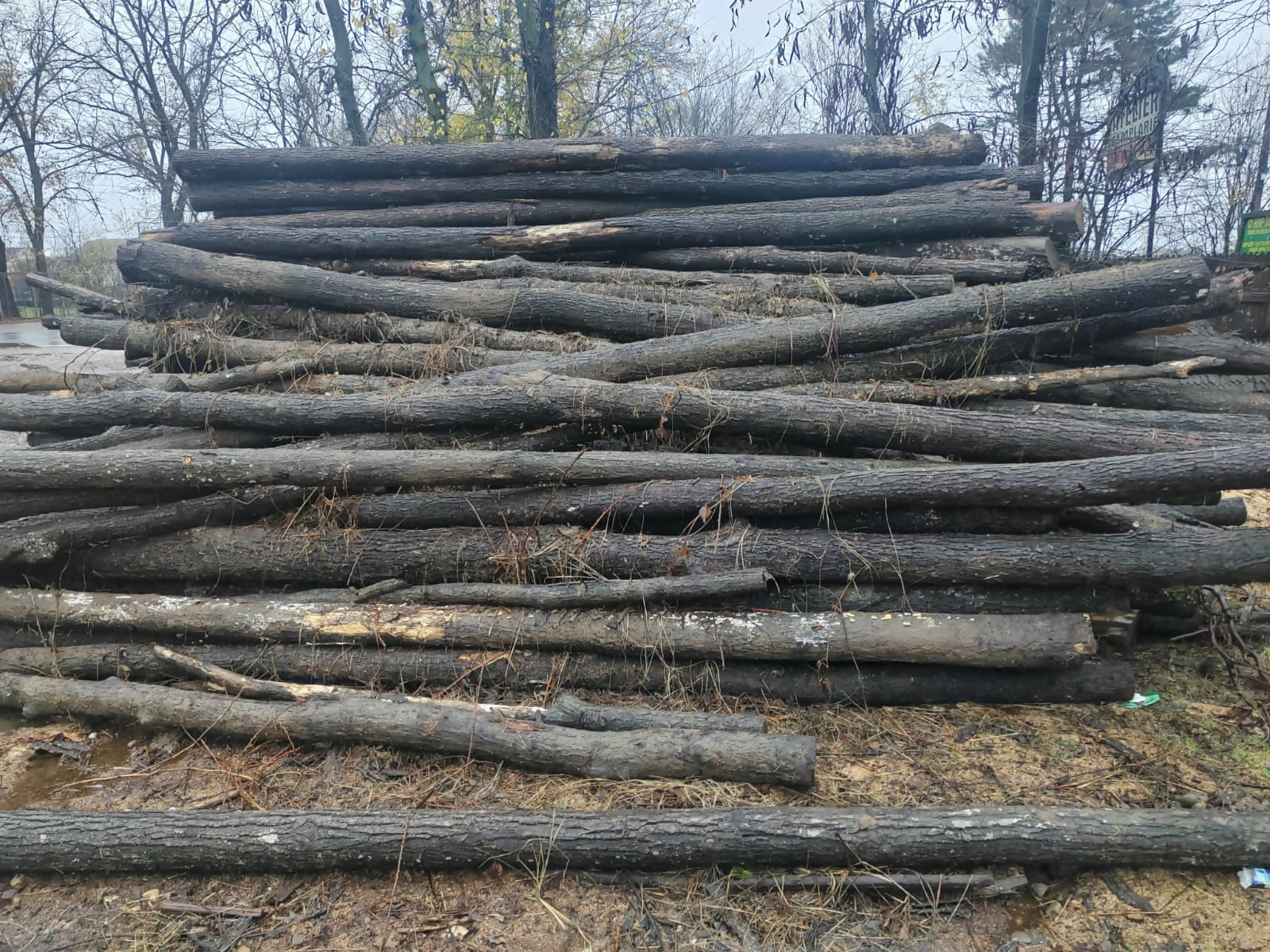 Lemn rotund pentru construcții rurale gorun