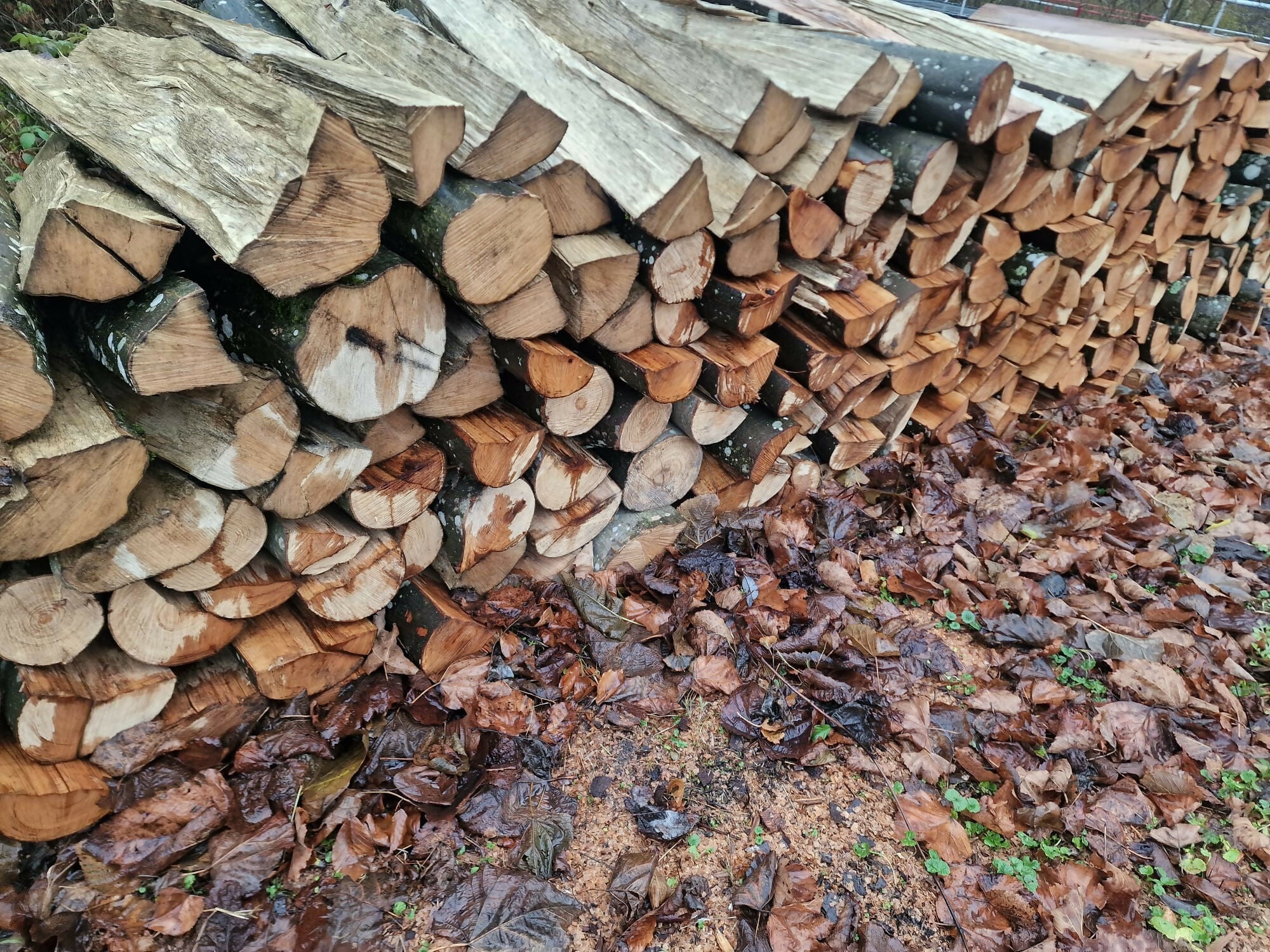 Lemn de foc diverse tari