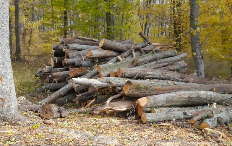 Lemn lucru diverse moi (m.c.)