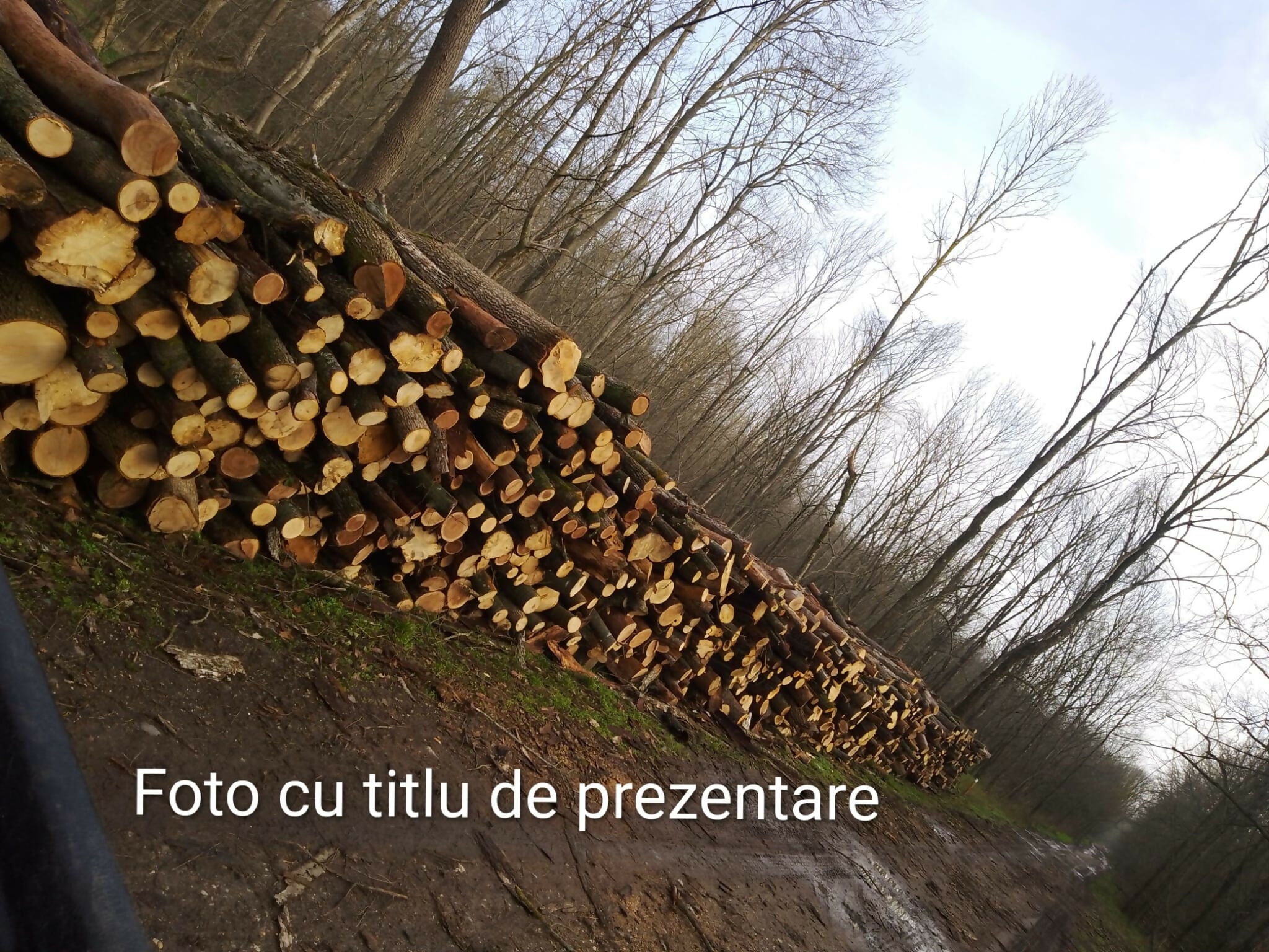 Lemn rotund pentru construcții rurale (mc) - diverse tari