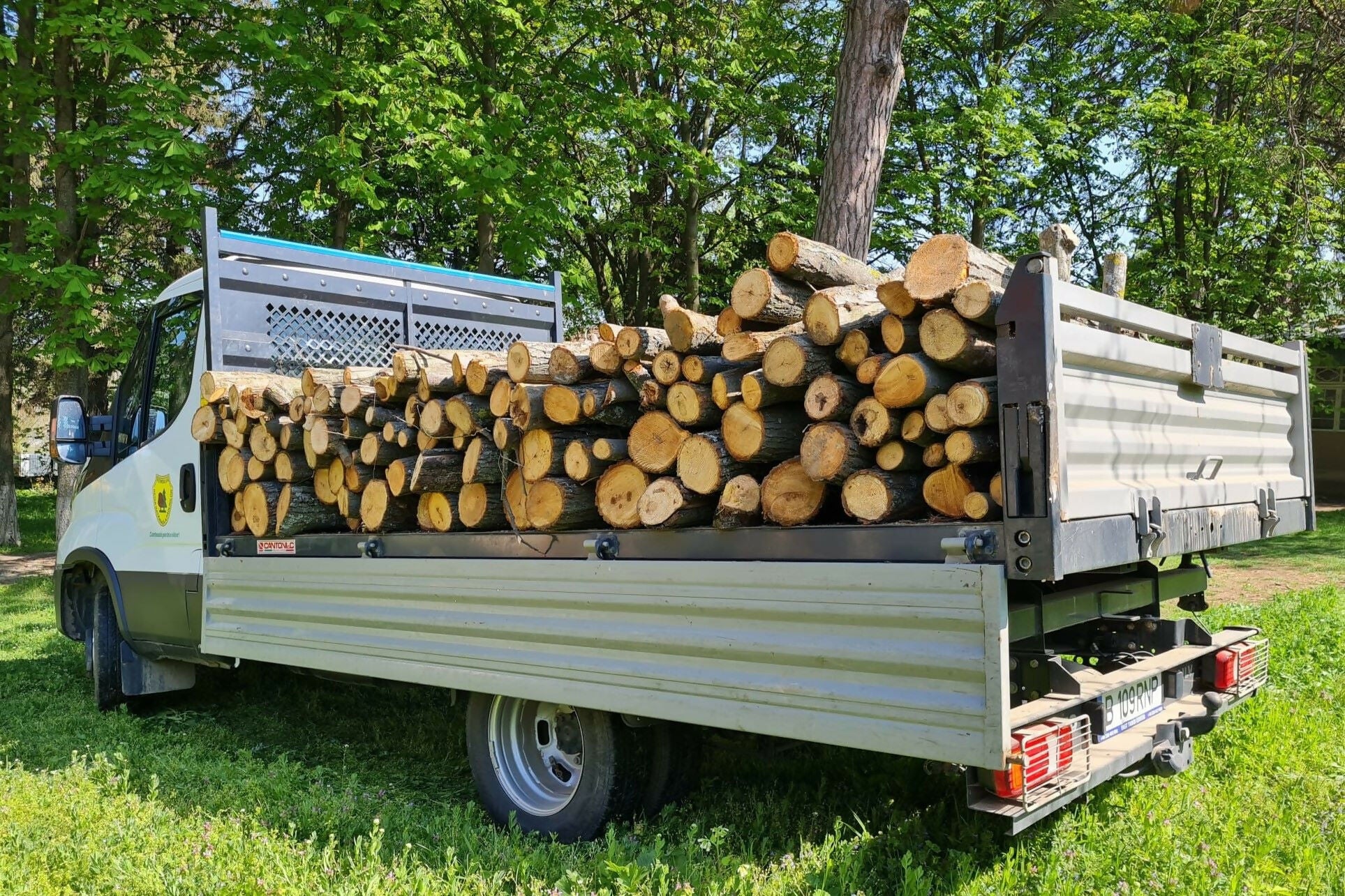 Lemn pentru foc - Tei - calitatea II