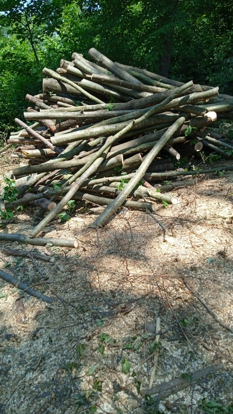 Lemn de foc diverse tari