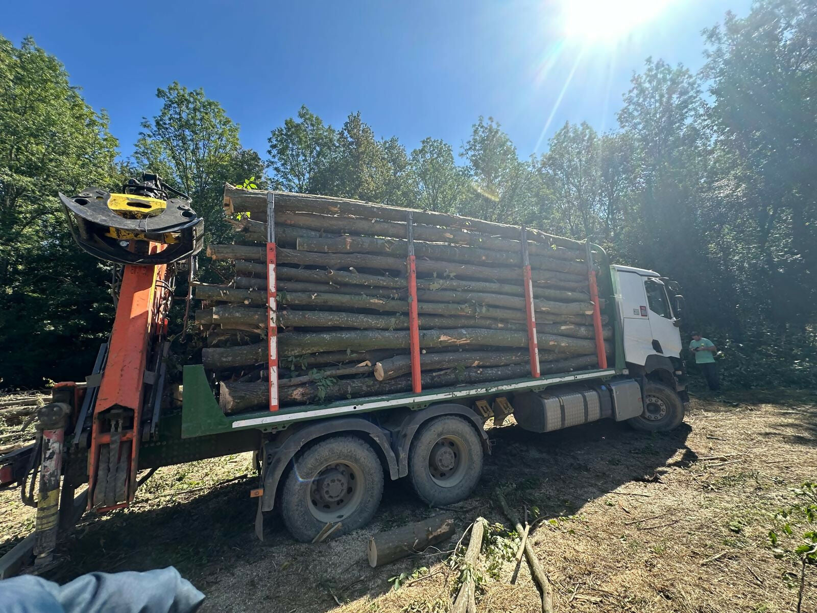 Lemn Constructii Rurale (Lemn C.R. - diverse specii tari)