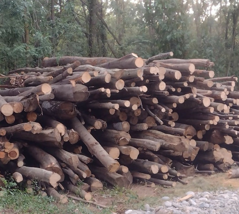 Lemn constructii rurale DM