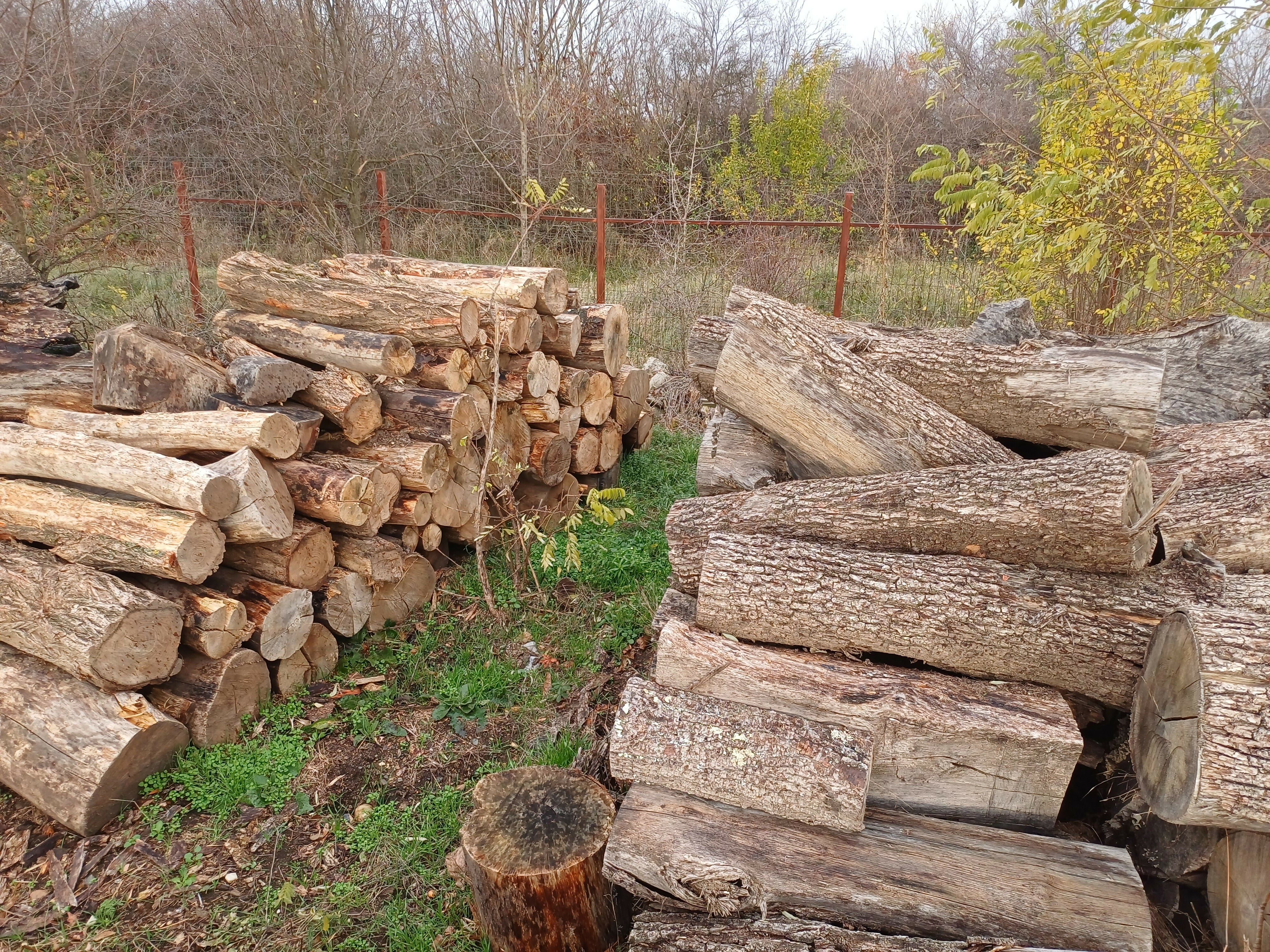 lemn foc diverse tari