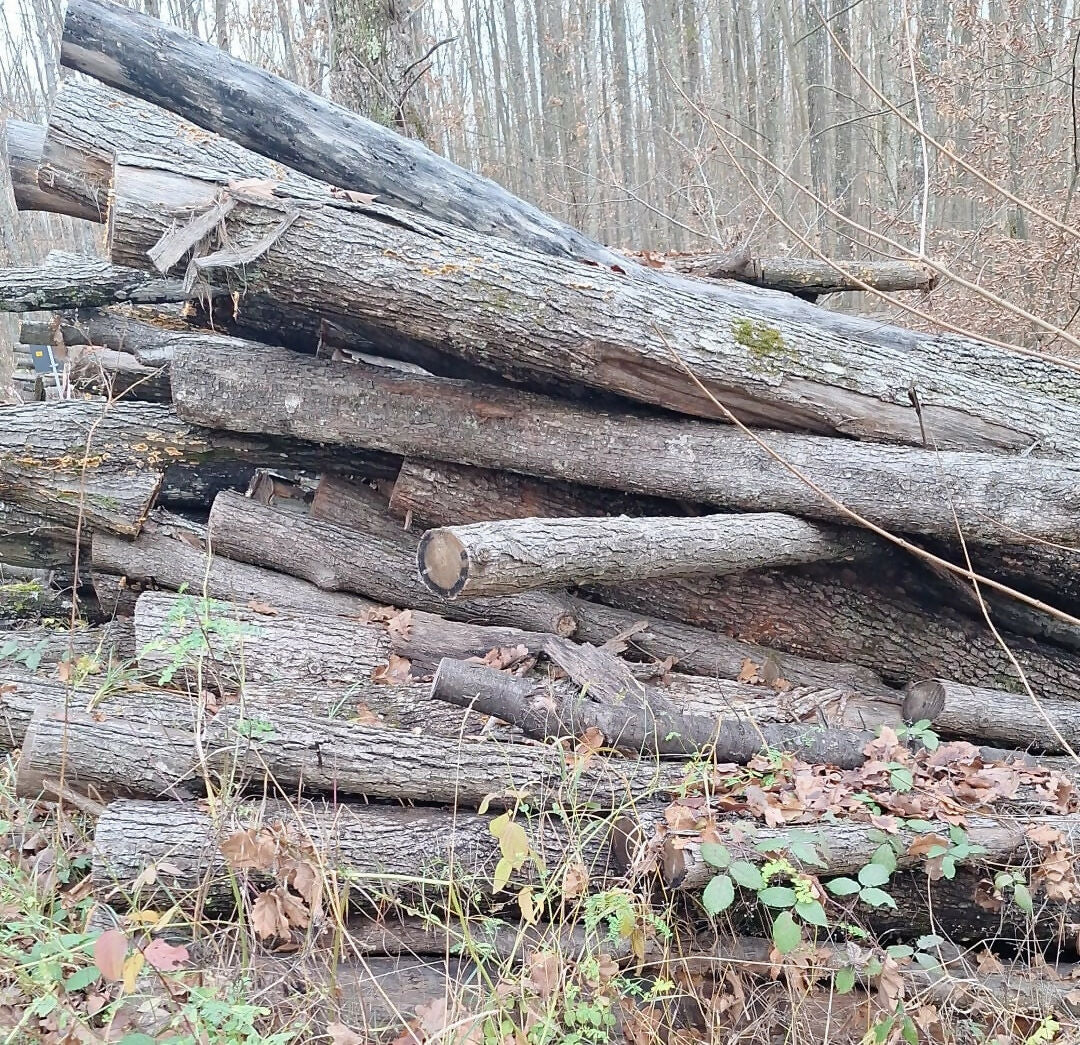 Lemn construtii rurale DT