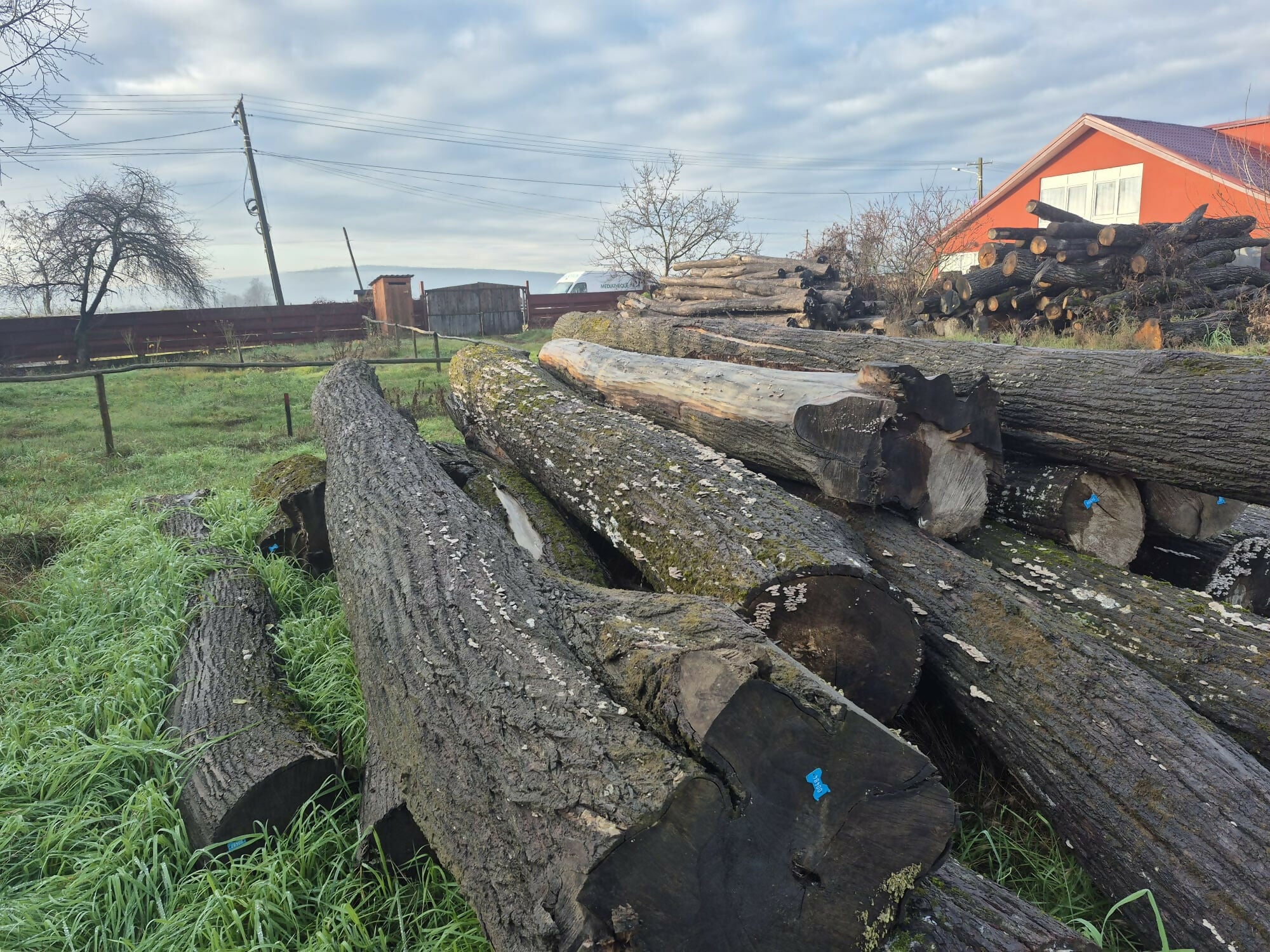 Lemn rotund constructii rurale te (mc)