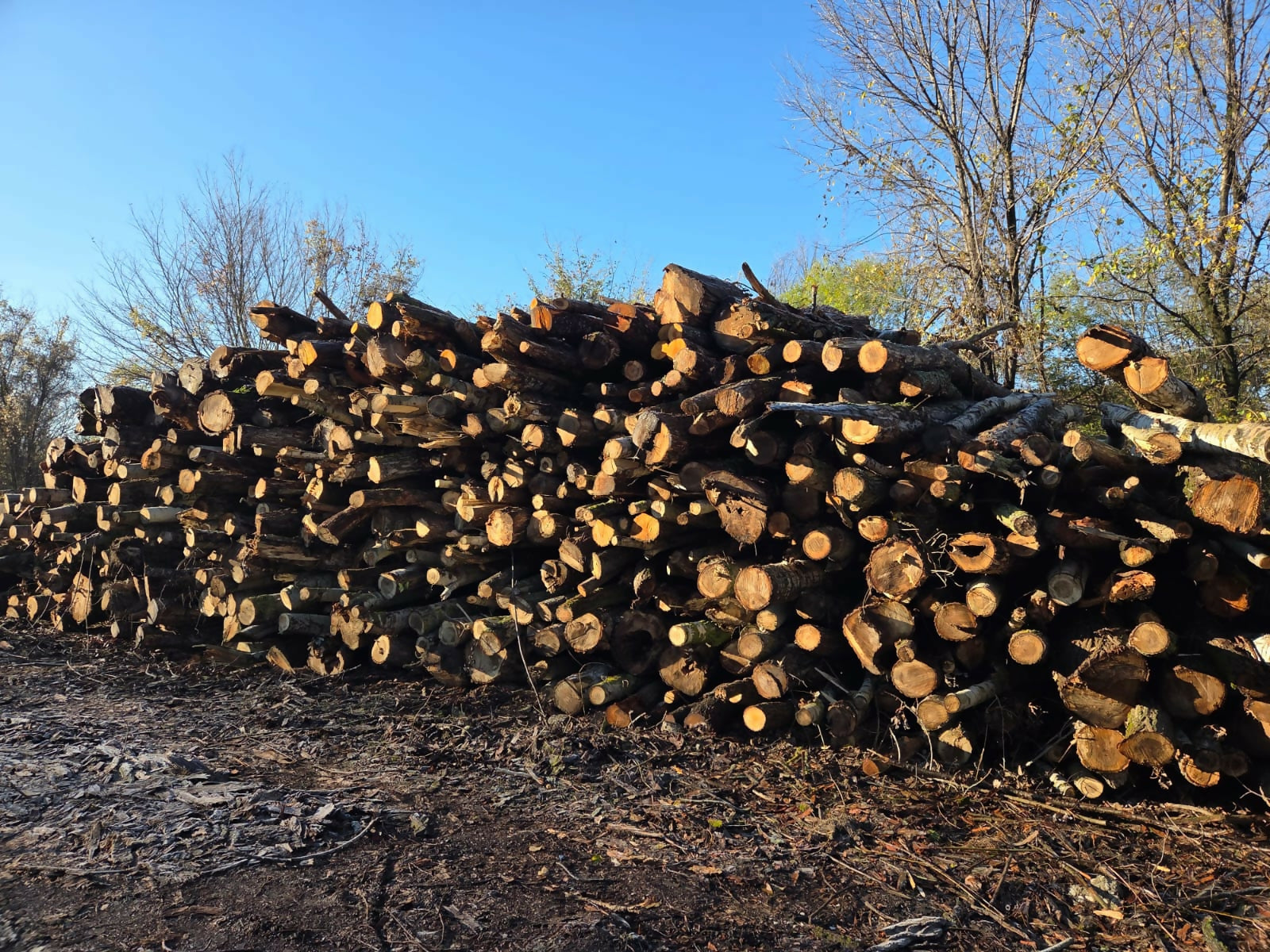 Lemn foc DM loco Depozit OS Slatina