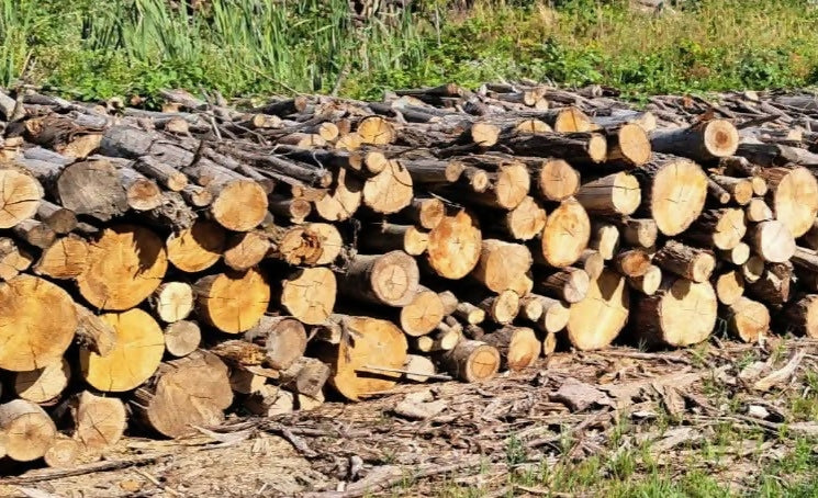 Lemn de foc diverse tari