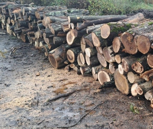 Lemn de foc diverse tari