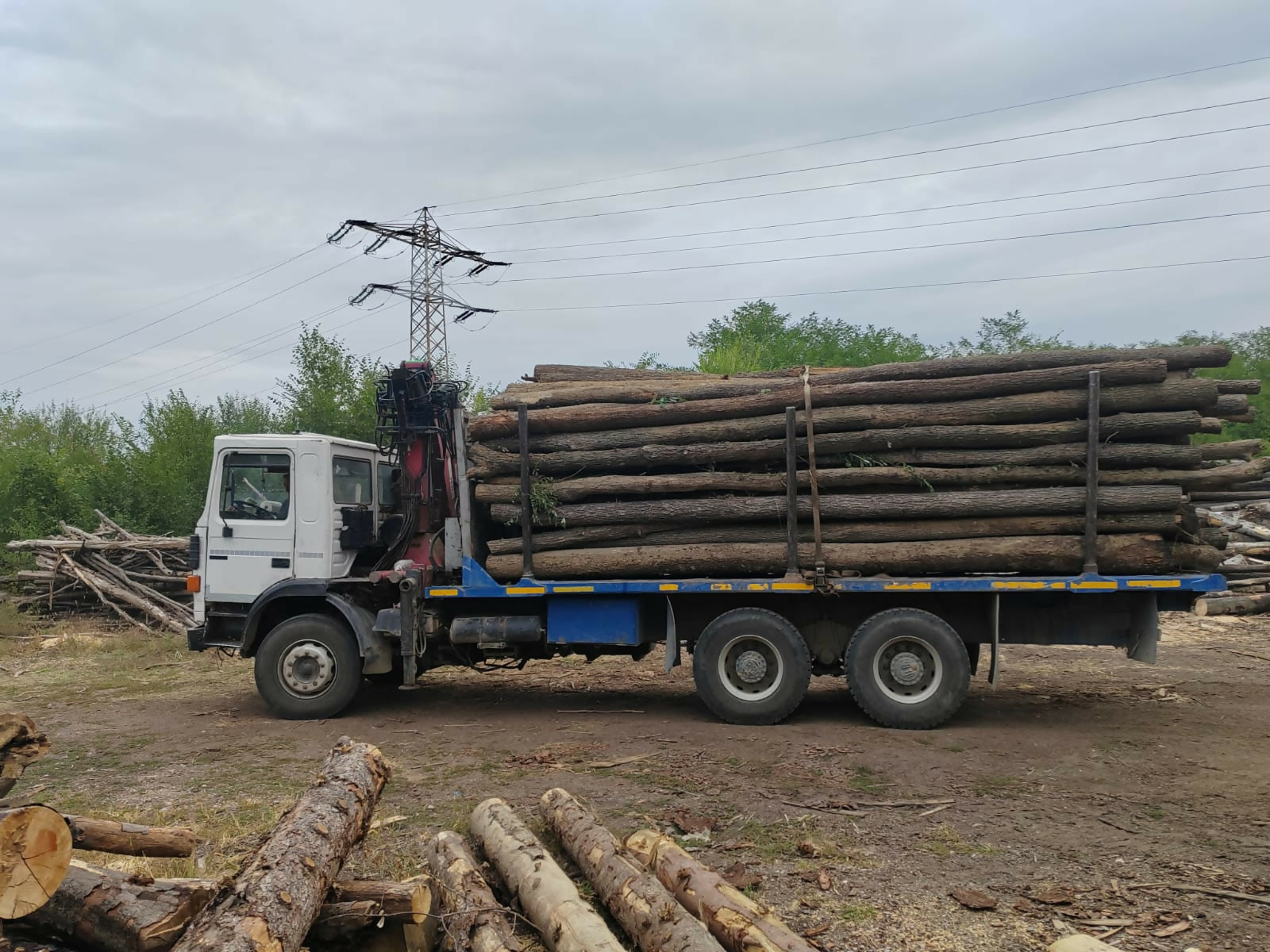 Lemn rotund pentru construcții rurale gorun