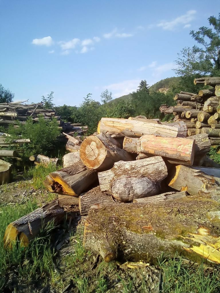 Lemn de foc Diverse Tari