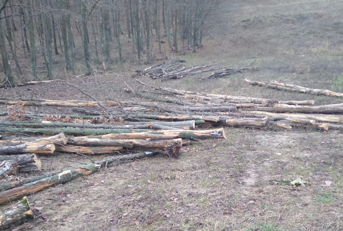 LEMN DE LUCRU CONSTRUCTII RURALE CARPEN