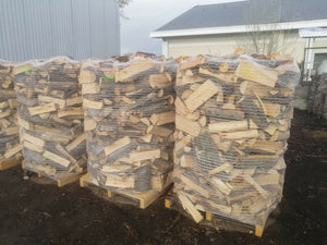 IMG-20250313-WA0018