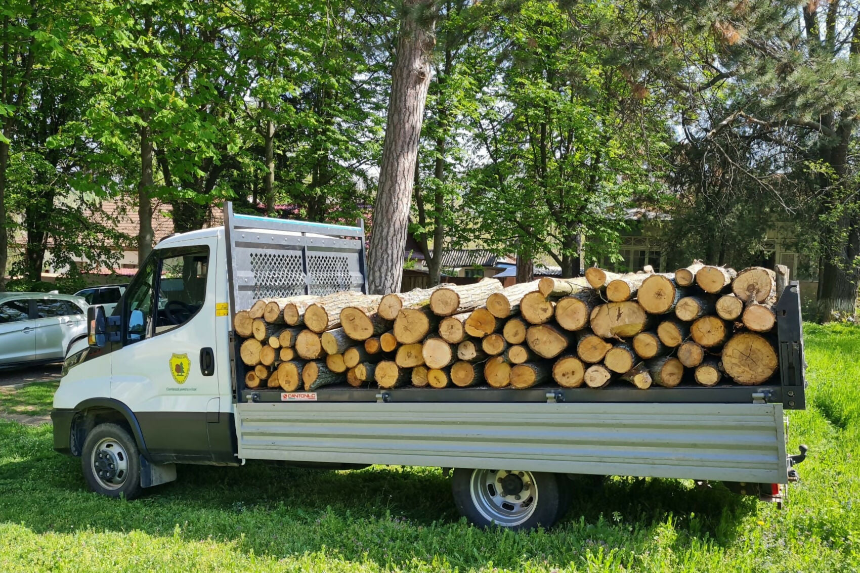 Lemn pentru foc - Tei - calitatea I