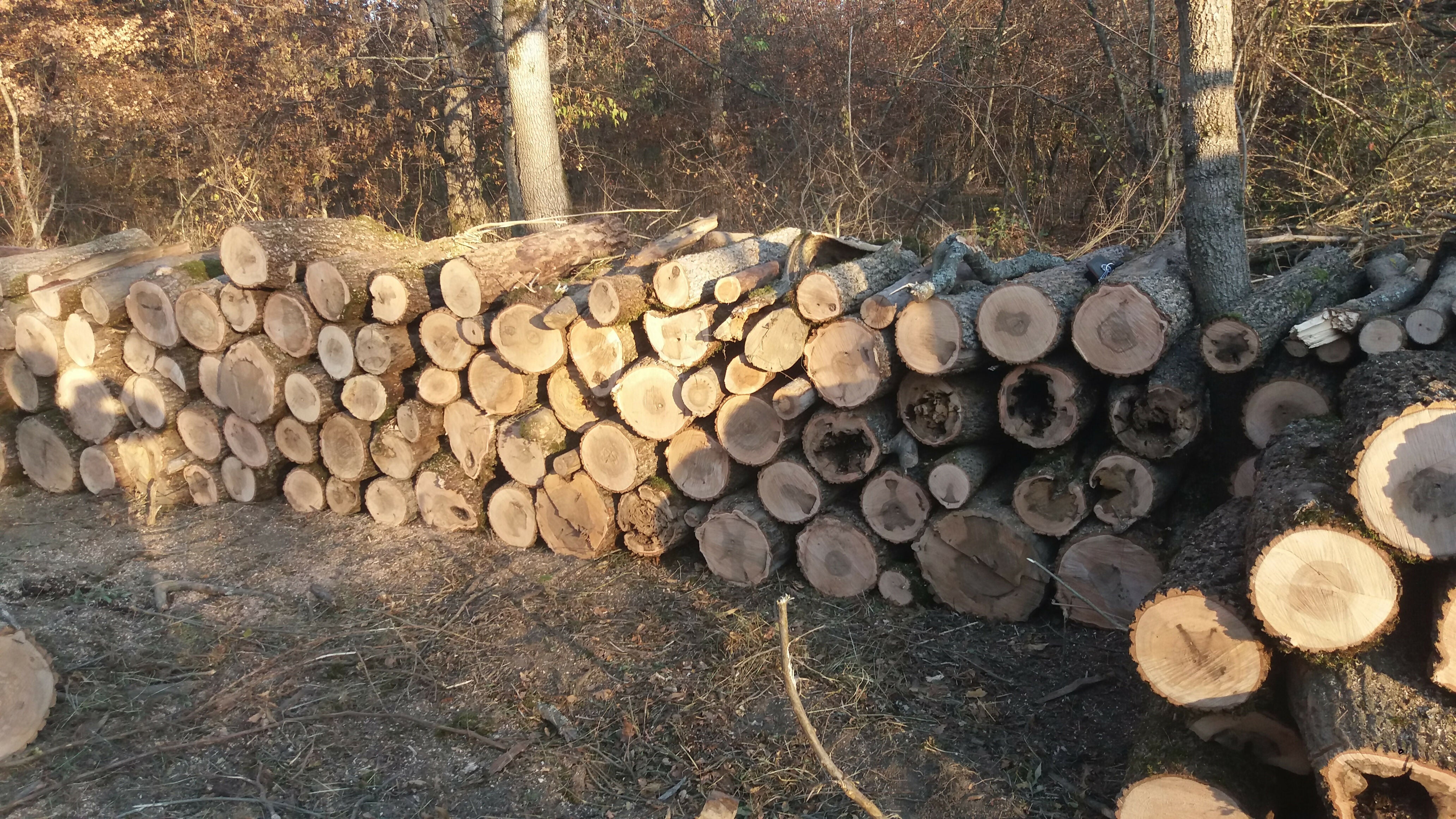 Lemn foc diverse tari