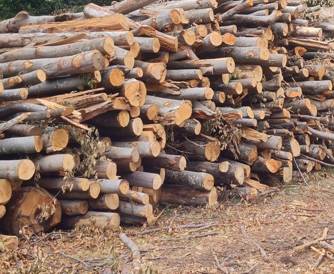 Lemn constructii rurale DT