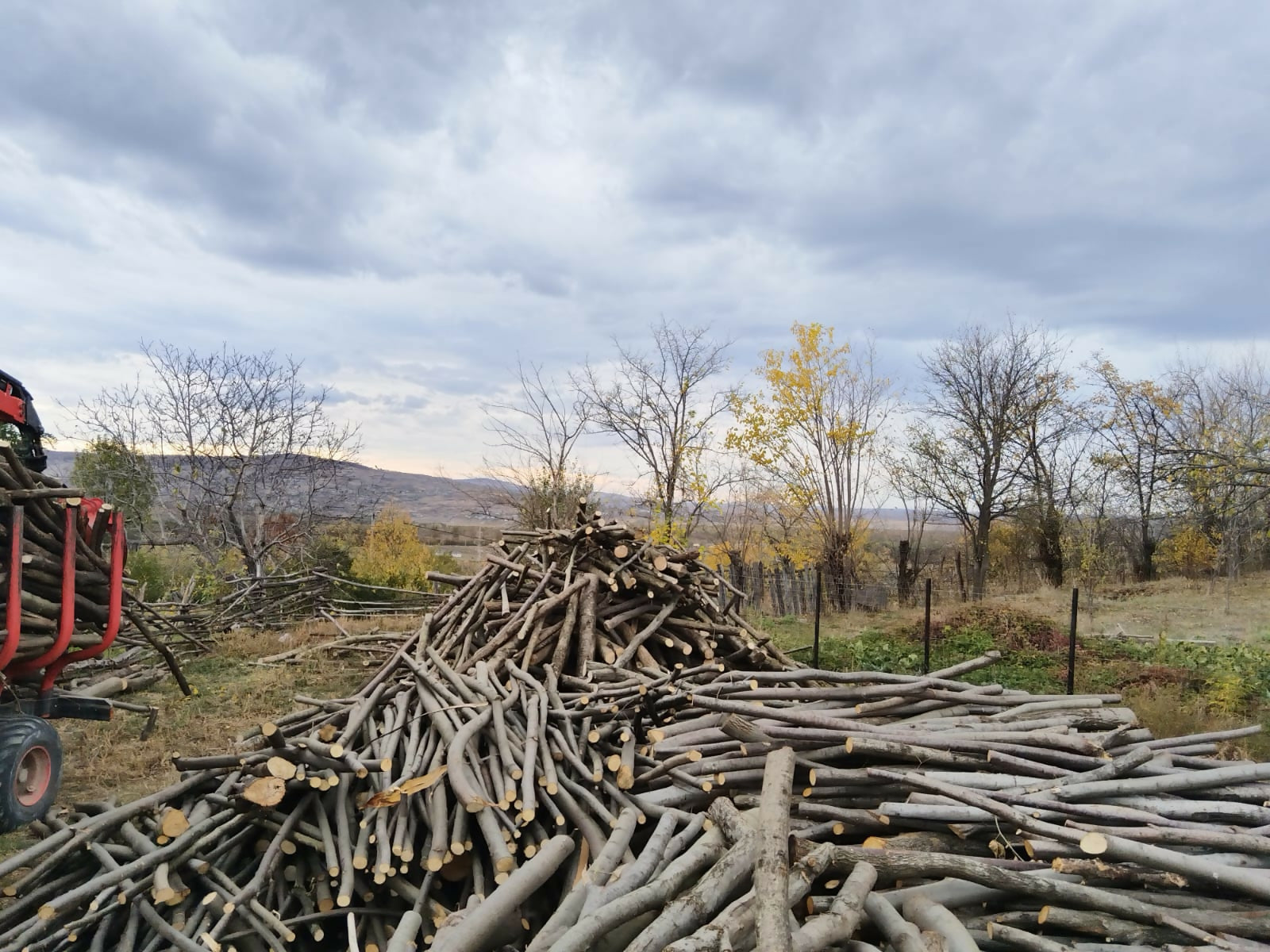 Lemn de foc diverse moi