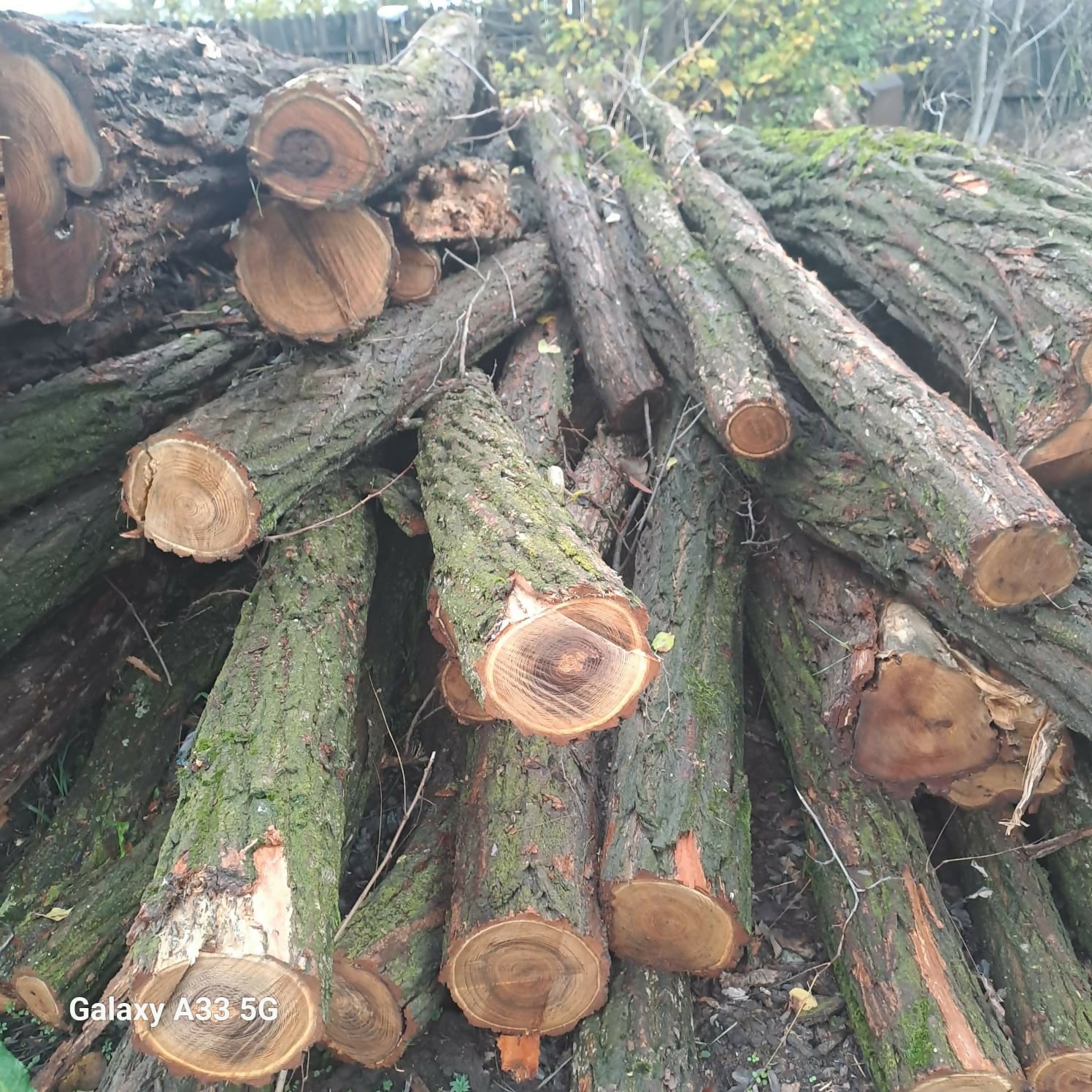 Lemn de foc -loco depozit OS Caracal