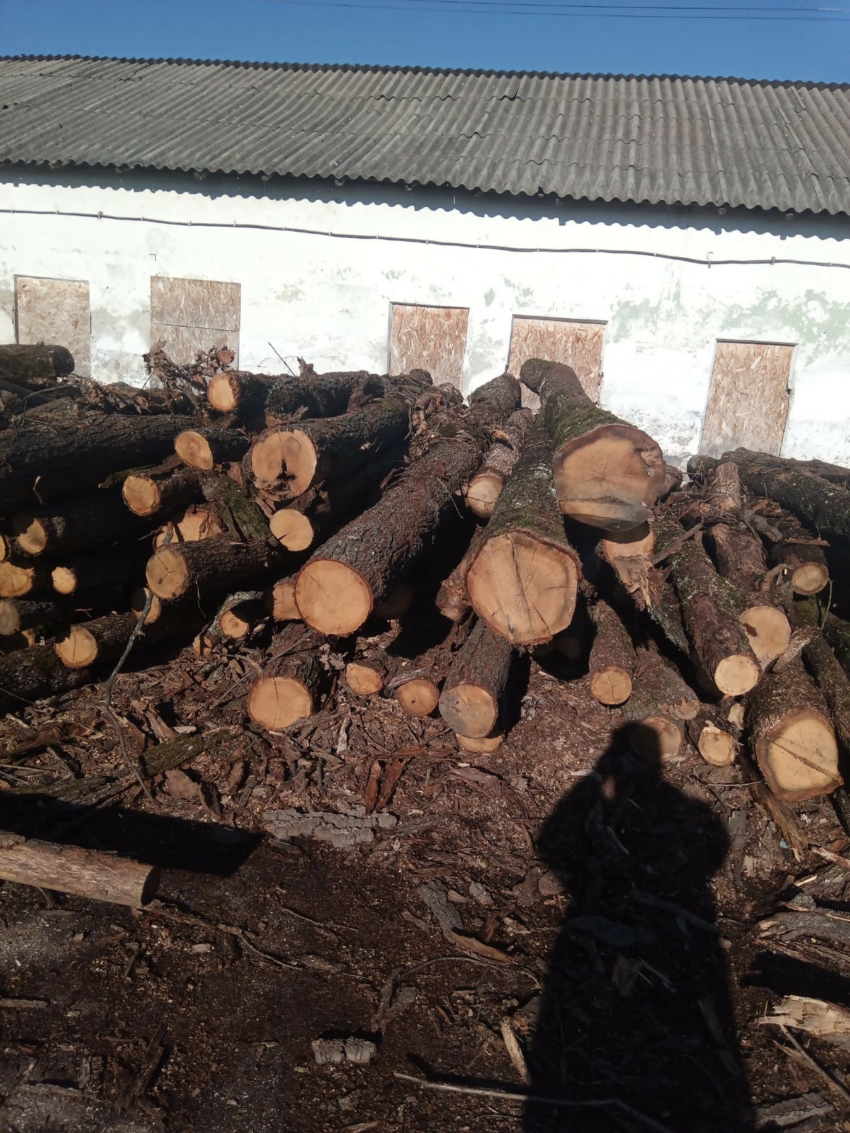 Lemn foc DT loco Depozit OS Bals