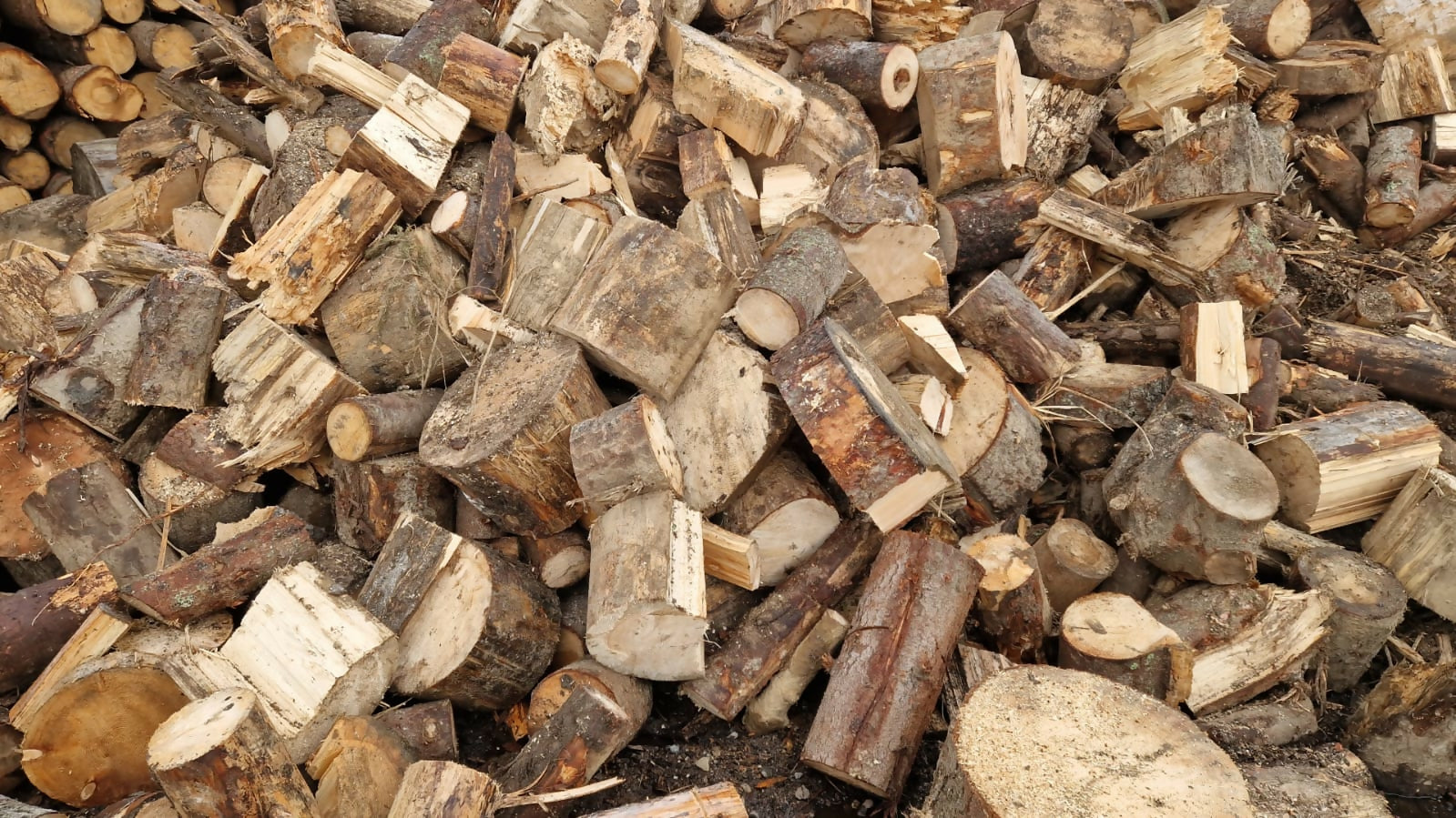 Lemn de foc - rășinoase