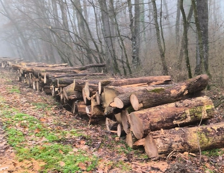 Lemn de foc diverse tari